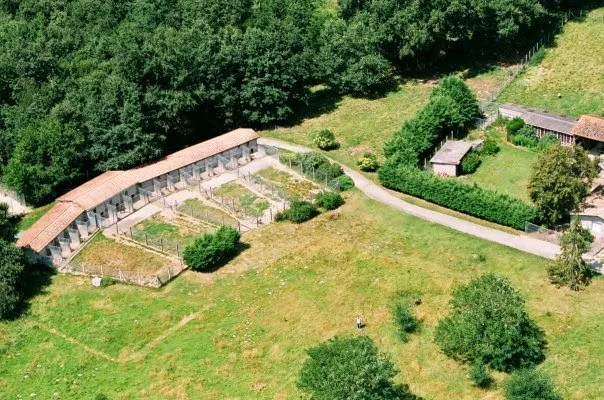Auberge Canine et Féline de La Double - Cher pet otel görseli 3