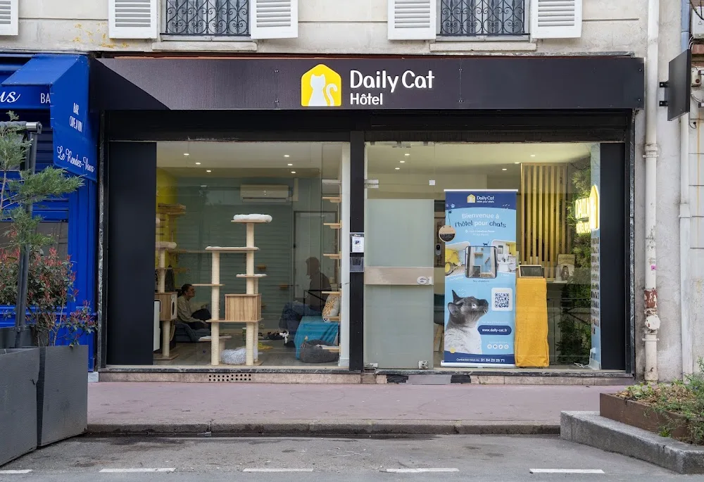 Daily Cat - Hôtel pour chats - Cher pet otel görseli 5