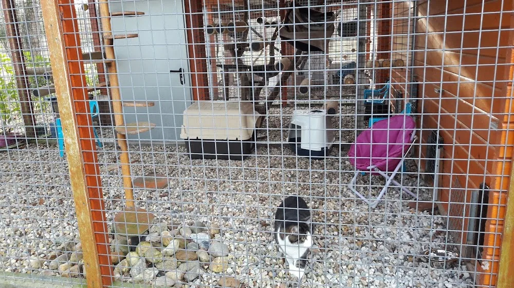 Domaine D'elma pension chien et chat - Cher pet otel