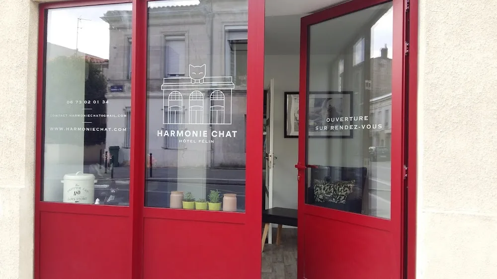 Harmonie Chat - Hôtel pour chats - Comportementaliste chat - Cher pet otel