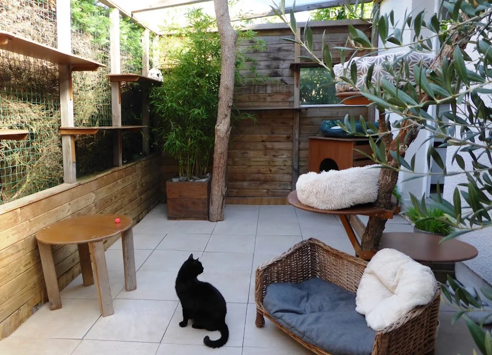 La Caresse du Chat - Pension féline - Cher pet otel görseli 2