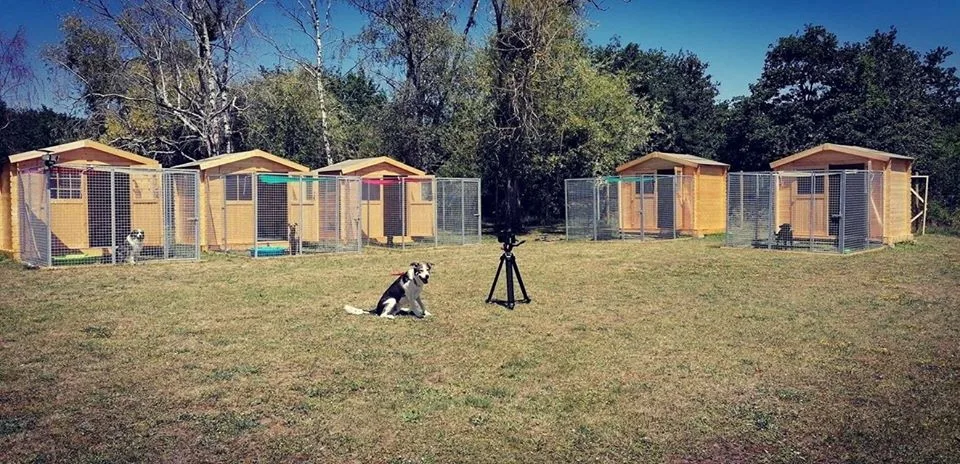 la pension d'ipsho - Cher pet otel görseli 2