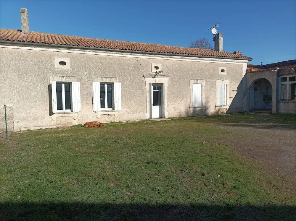 La récré o'poil - Cher pet otel