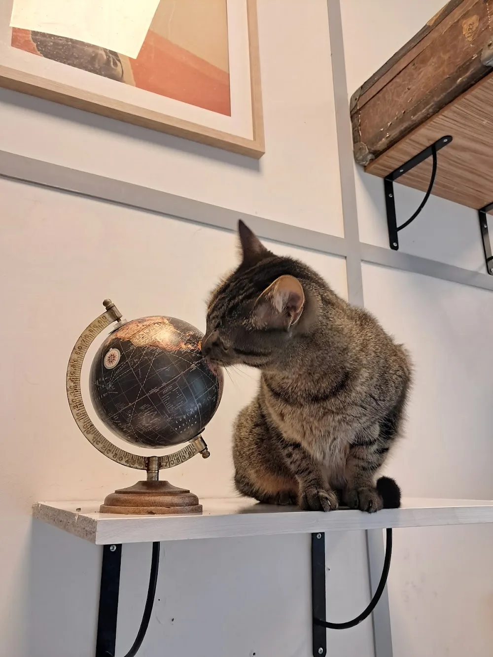 Le Moustache Pension - Cher pet otel