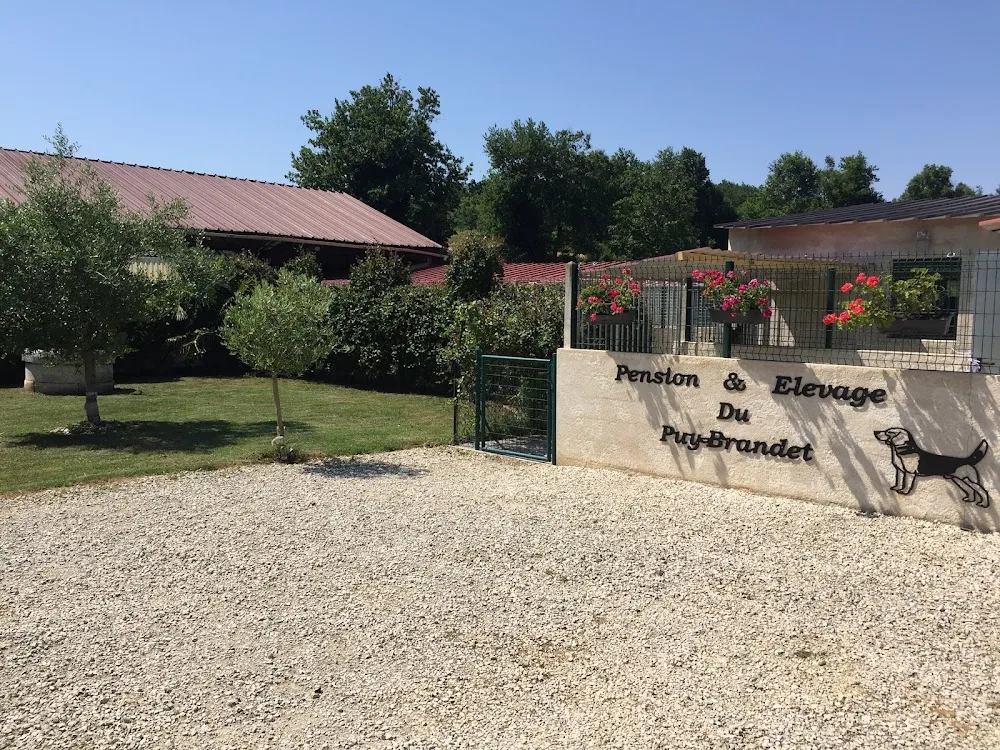 Pension Canine du Puy Brandet - Cher pet otel