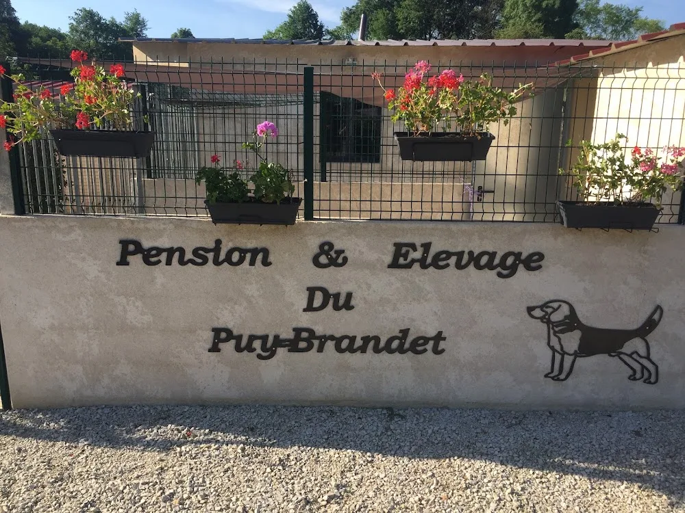 Pension Canine du Puy Brandet - Cher pet otel görseli 3