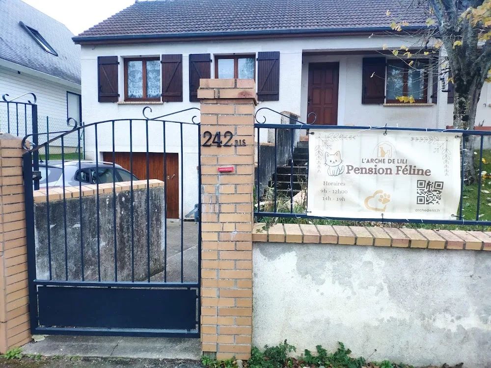 Pension chats Bourges - L'Arche de Lili - Cher pet otel görseli 2