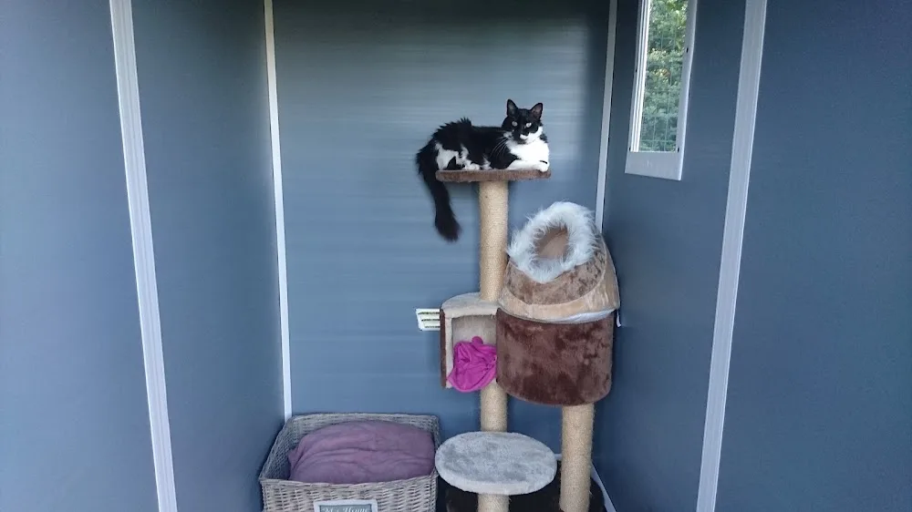 Pension chiens et chats "Les chalets de la Jolie" - Cher pet otel görseli 3