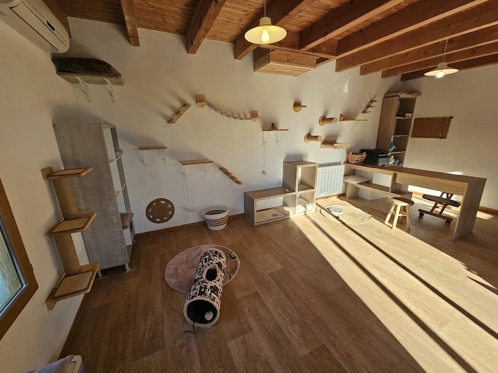 Pension de la Chat'pelle - Cher pet otel görseli 6
