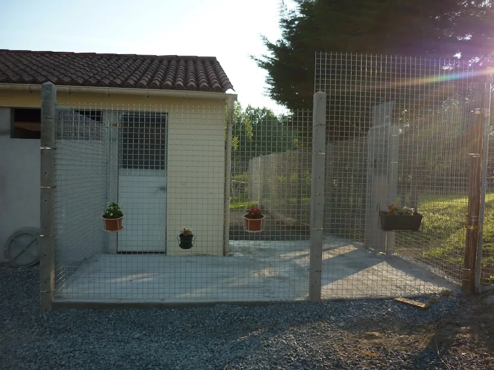 Pension féline des Moulins - Cher pet otel