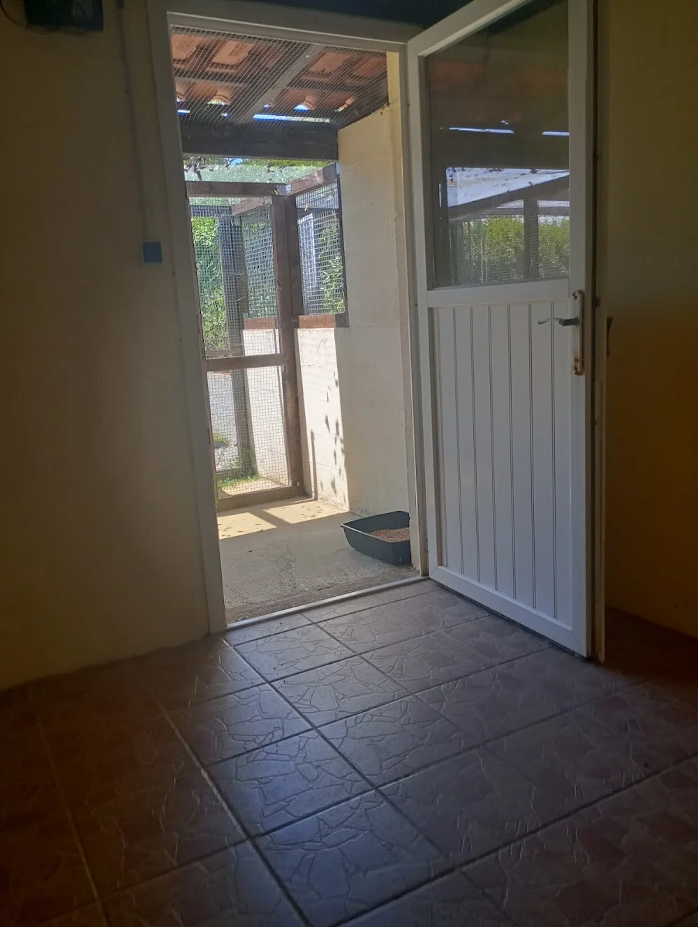 Tournesol Cat Hotel - Cher pet otel görseli 3
