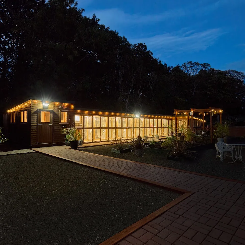 Cats Away Ltd - Cheshire East pet otel