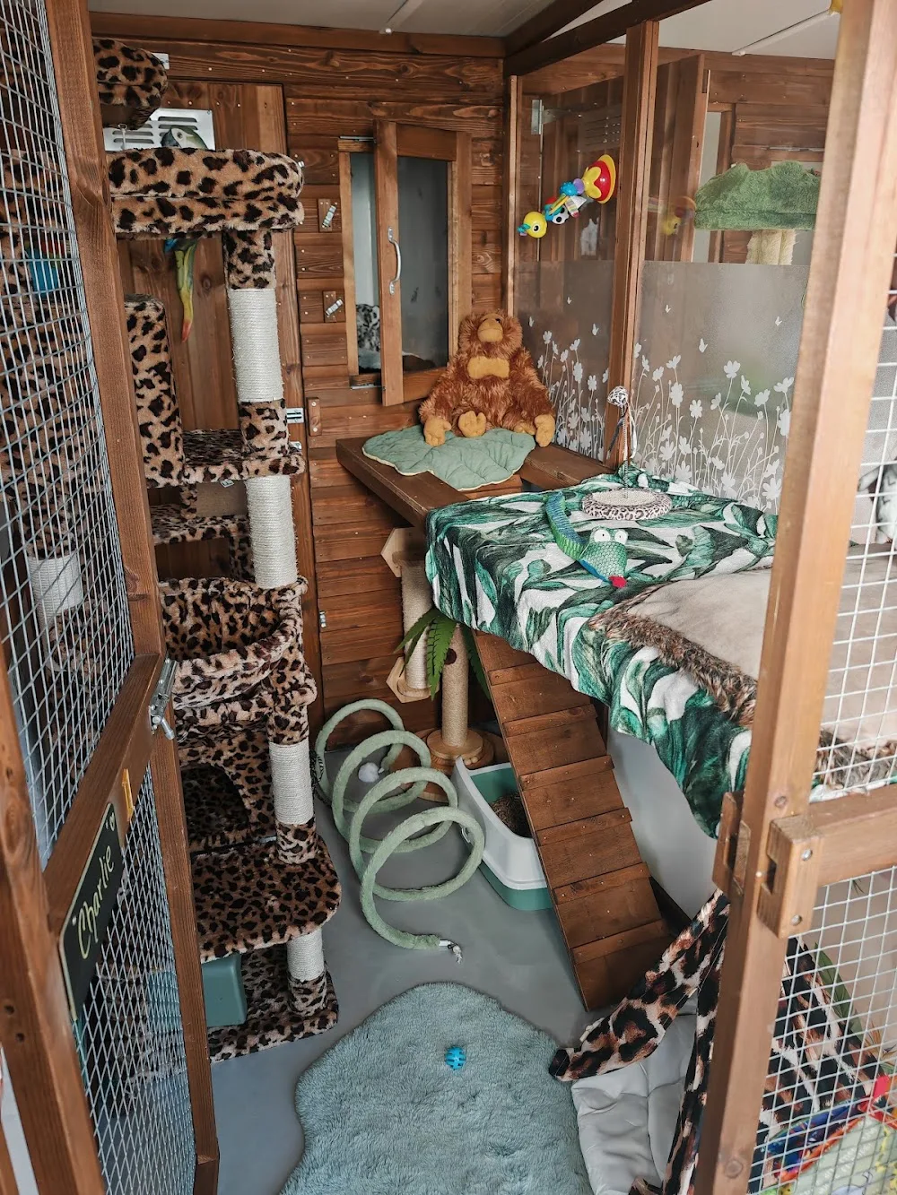 Cats Away Ltd - Cheshire East pet otel görseli 3