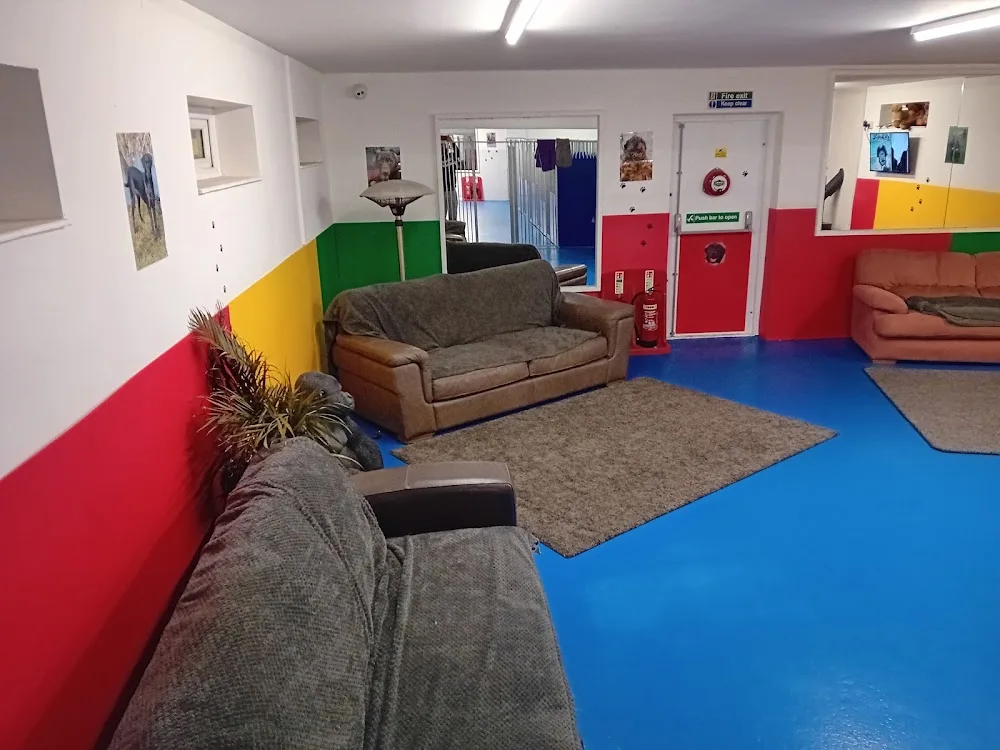 Midlock view dog holiday boarding - Cheshire East pet otel görseli 2