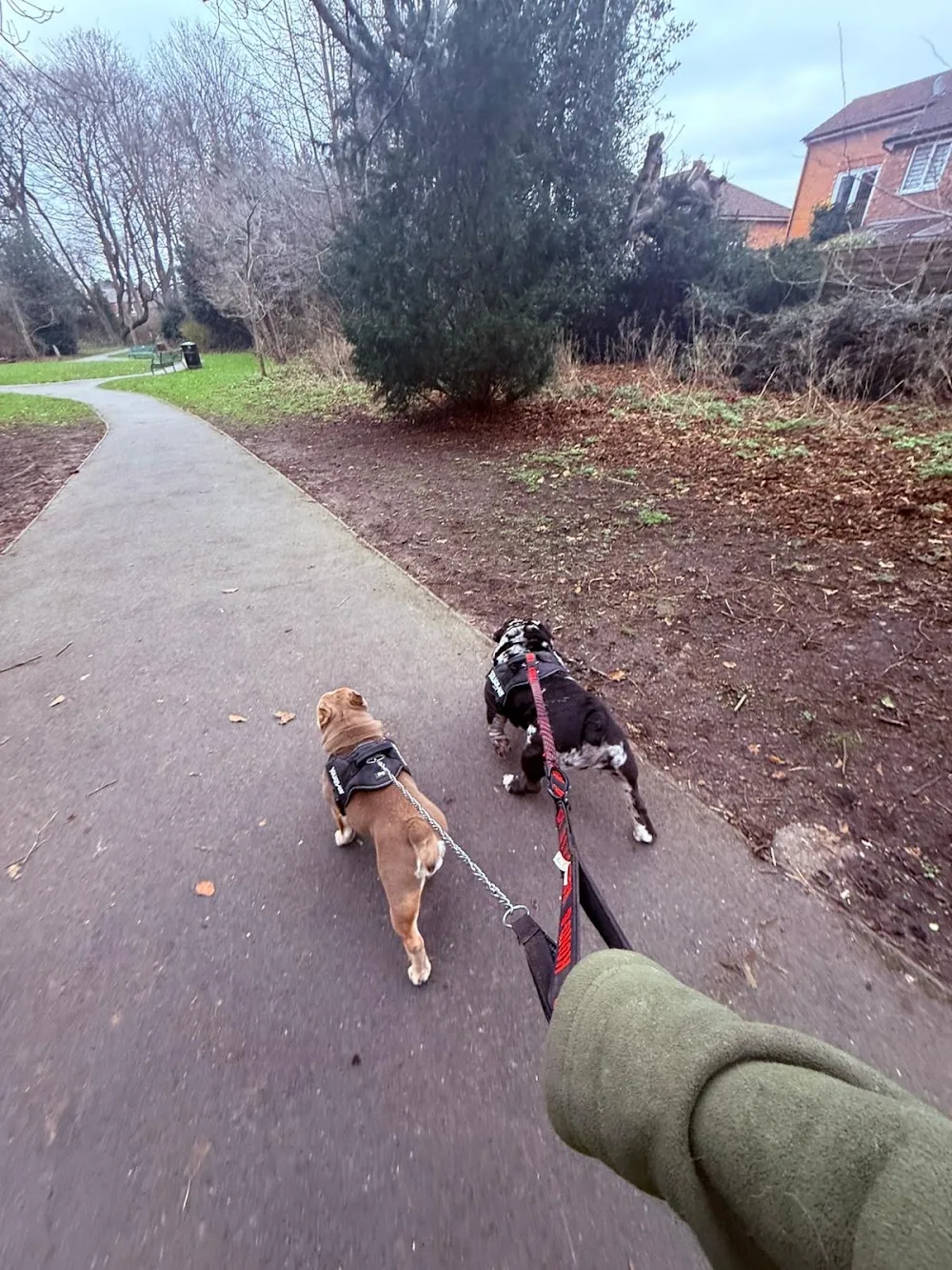 Wilmslow Doggy House - Cheshire East pet otel görseli 3