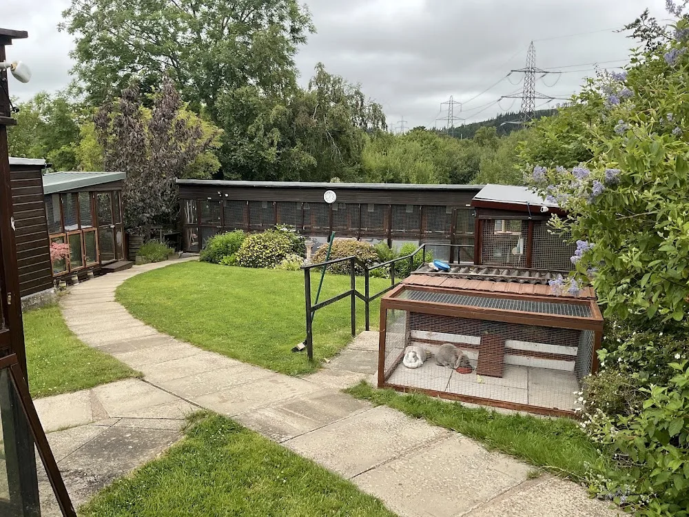 Bwlchgwyn Cattery - Cheshire West and Chester pet otel