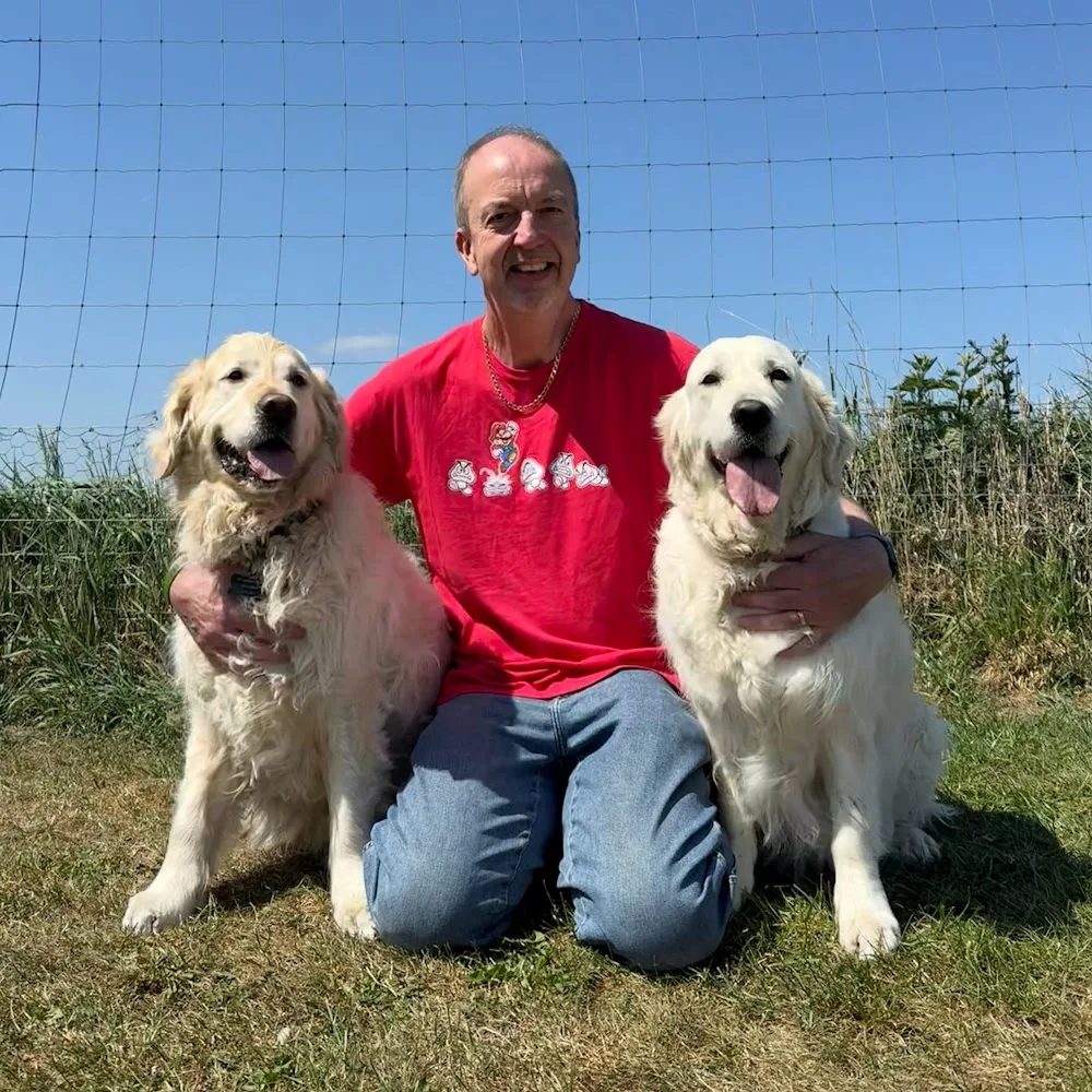 Canine Clubhouse - Cheshire West and Chester pet otel görseli 4