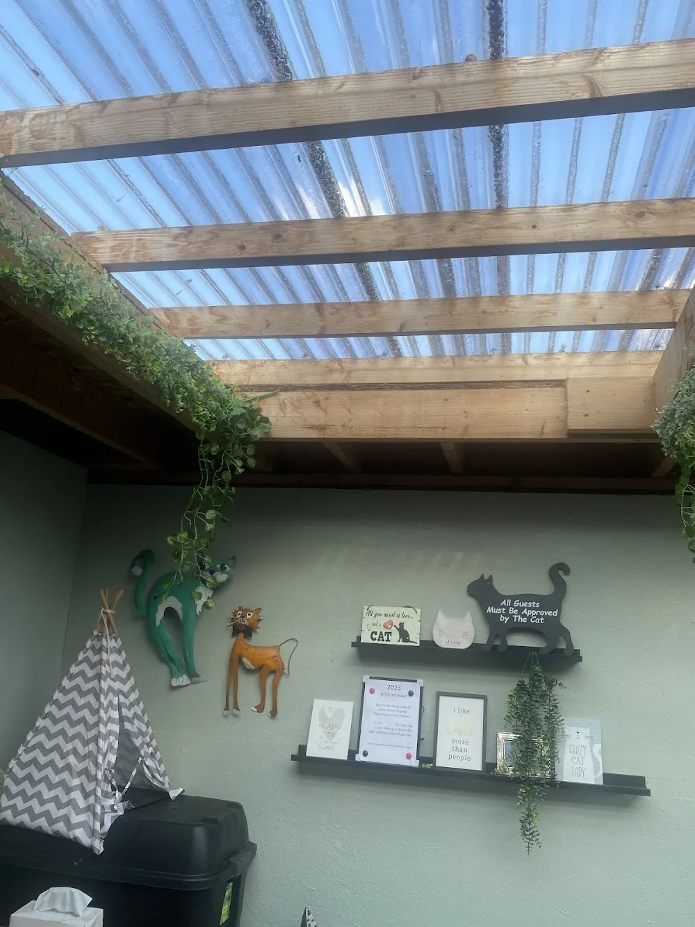 Carols Cattery - Cheshire West and Chester pet otel
