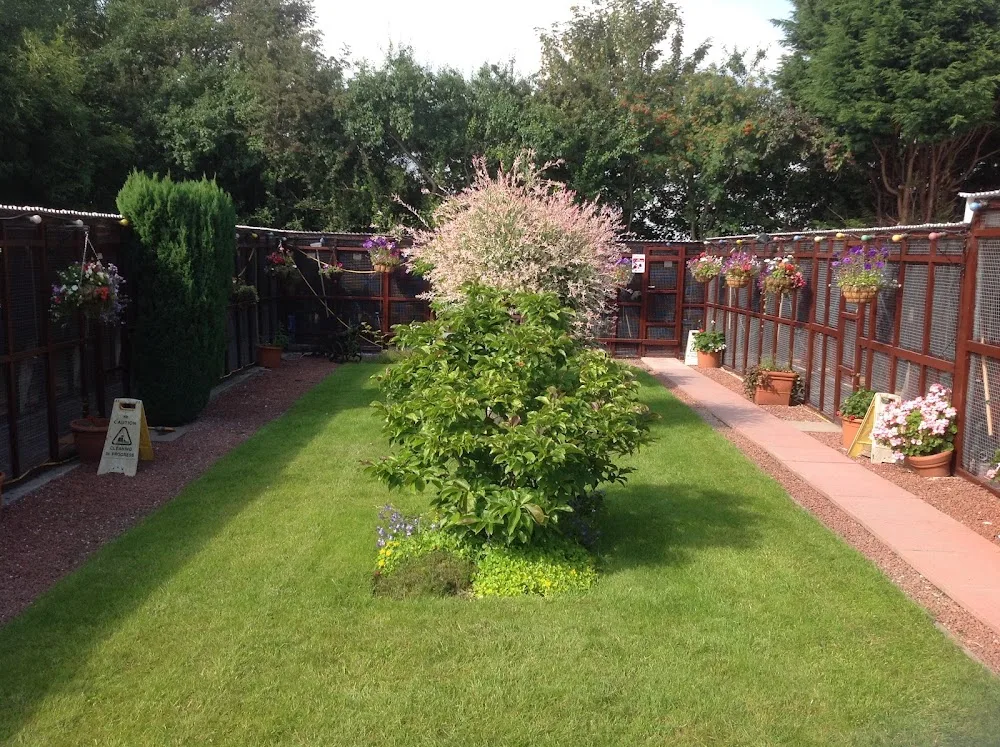 Cuddington Boarding Cattery - Cheshire West and Chester pet otel