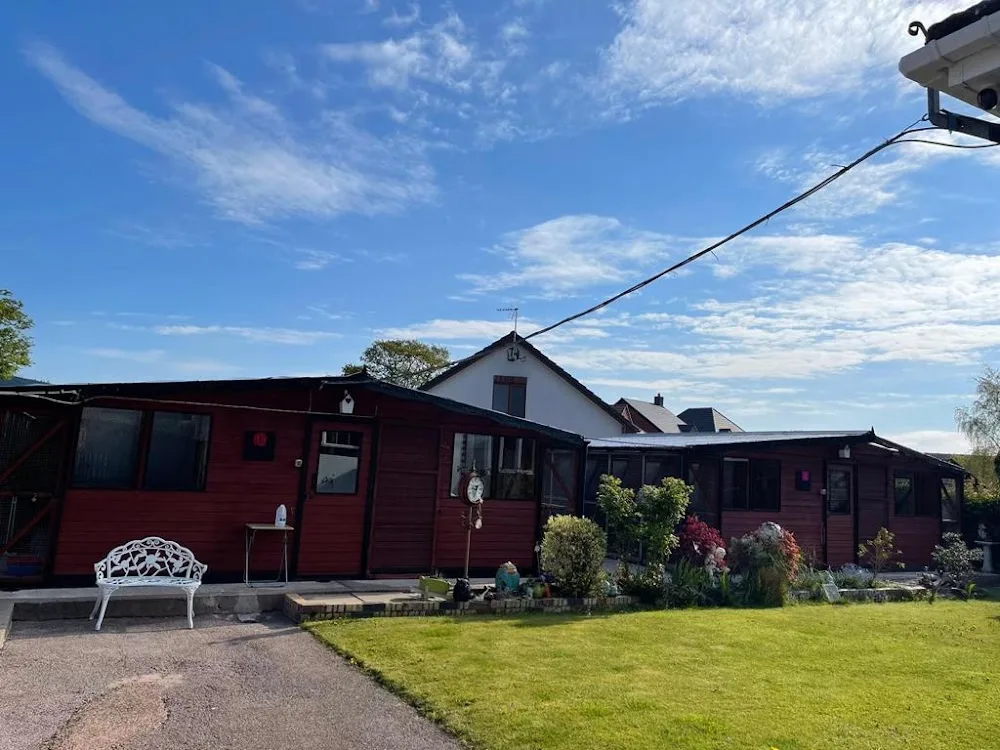 Feline Lodge - Cheshire West and Chester pet otel
