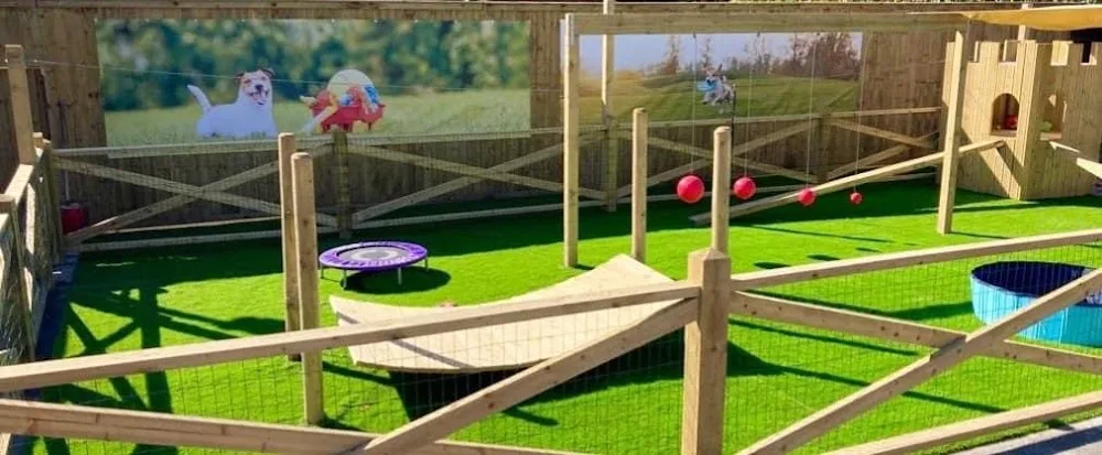 Glenbrittle Kennels and Cattery - Cheshire West and Chester pet otel görseli 3
