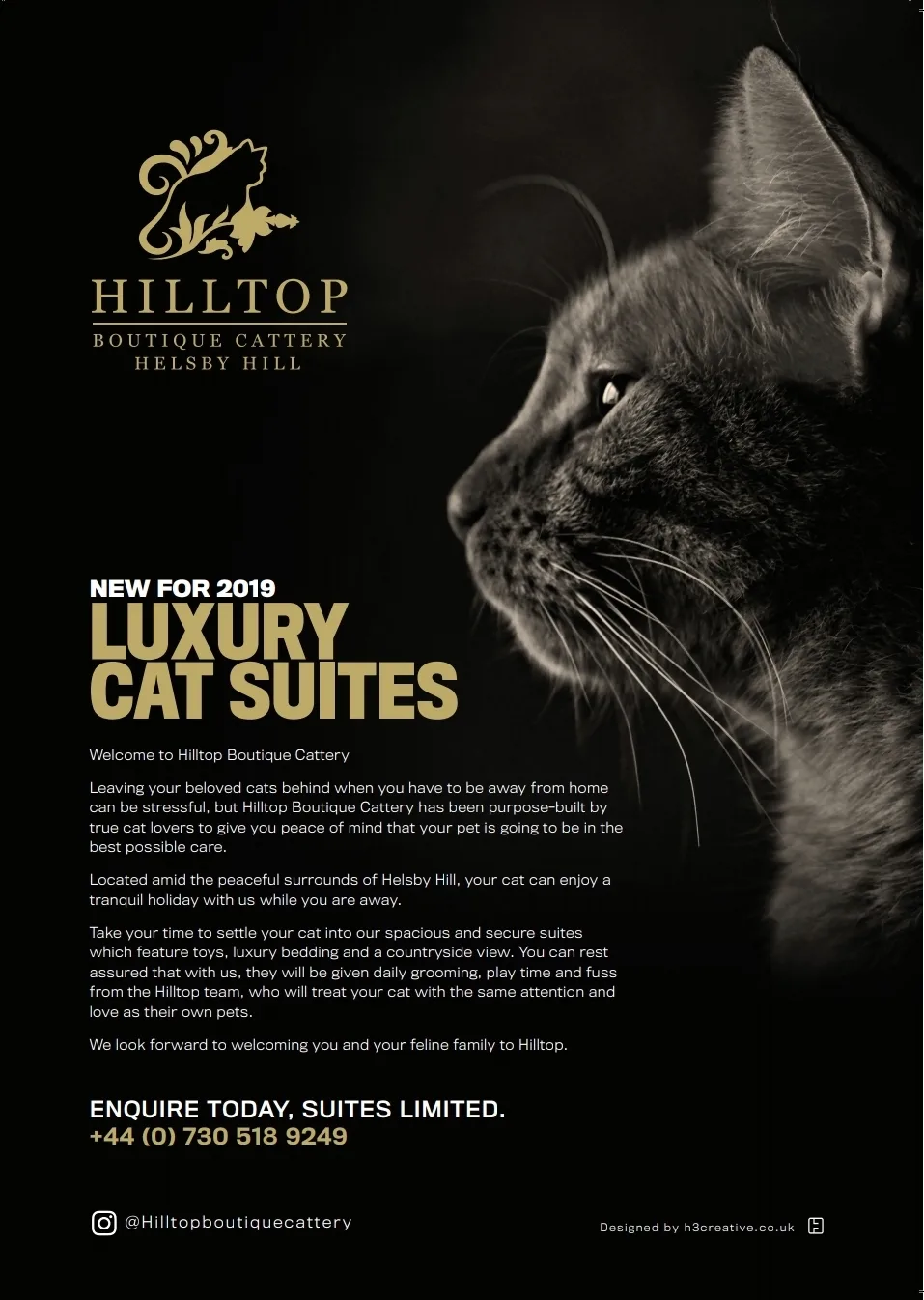Hilltop Boutique Cattery - Cheshire West and Chester pet otel