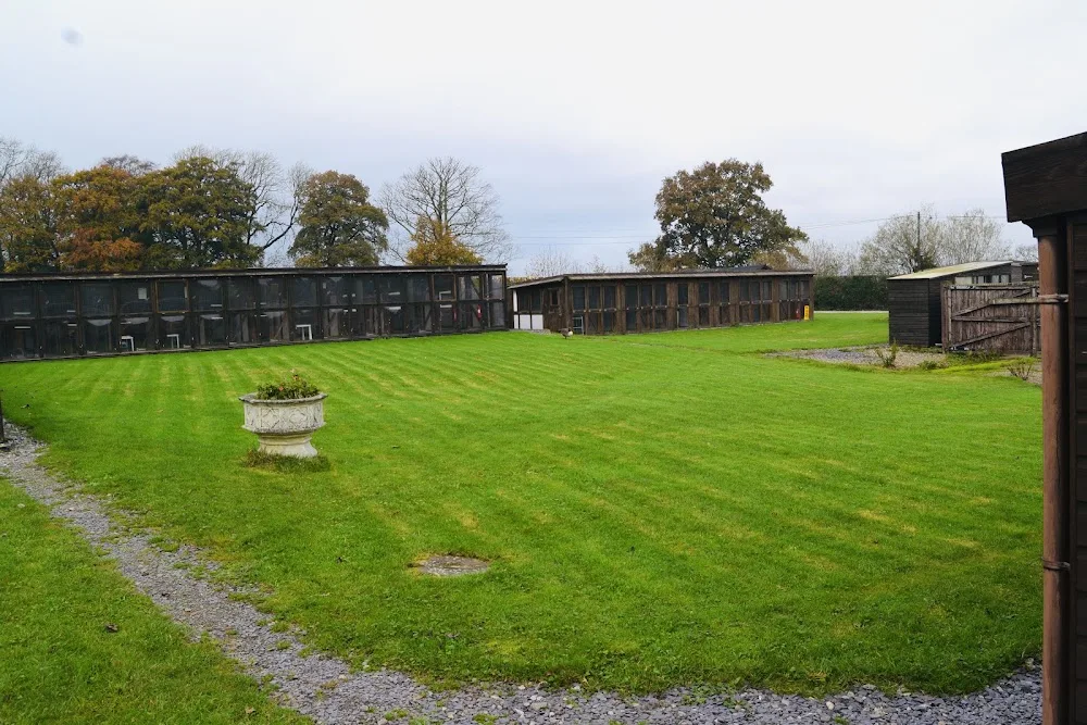 Lakeside Luxury Cattery - Cheshire West and Chester pet otel görseli 2