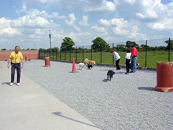 Park Lane Kennels - Cheshire West and Chester pet otel görseli 3