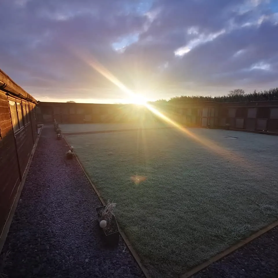 Pets Country Manor Cattery in Liverpool - Cheshire West and Chester pet otel