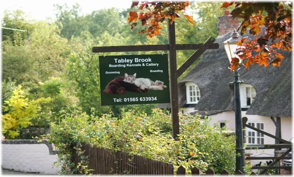 Tabley Brook Kennels and Cattery - Cheshire West and Chester pet otel görseli 3