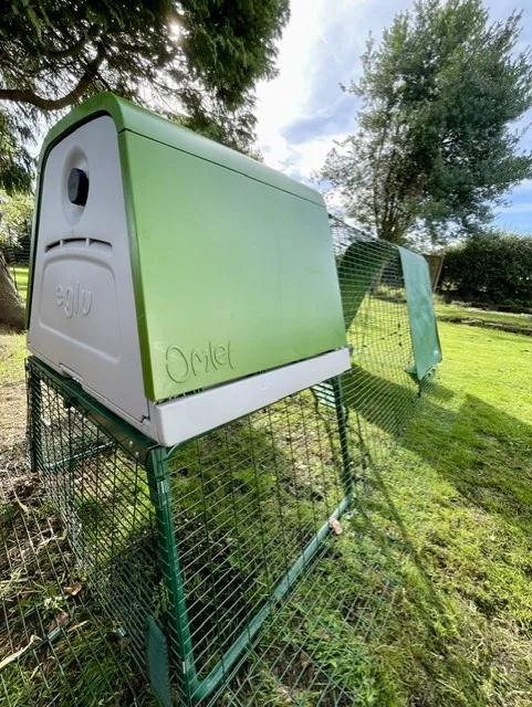 The Cheshire Coop Luxury Chicken Boarding - Cheshire West and Chester pet otel görseli 3