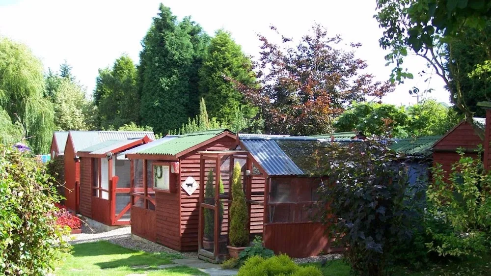Almora Cattery - Chesterfield pet otel görseli 2