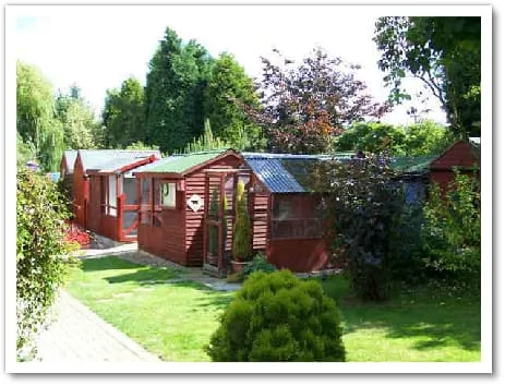 Almora Cattery - Chesterfield pet otel görseli 3