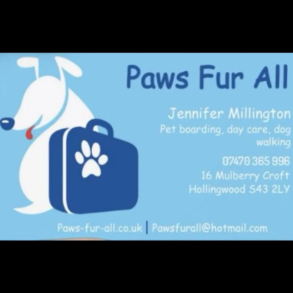 Paws-fur-all - Chesterfield pet otel görseli 2