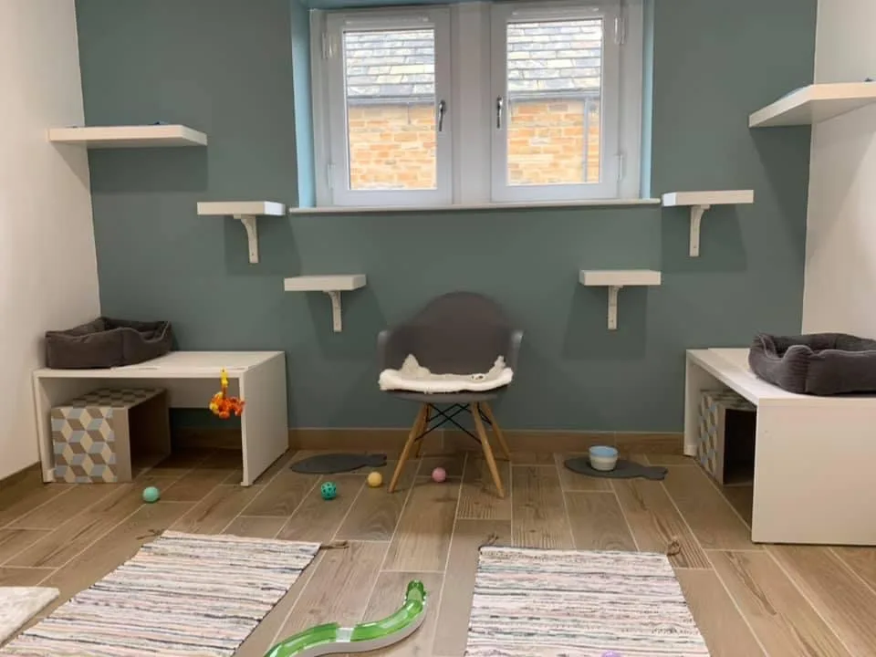 The Cat's Whiskers Luxury Cat Hotel - Chesterfield pet otel görseli 2