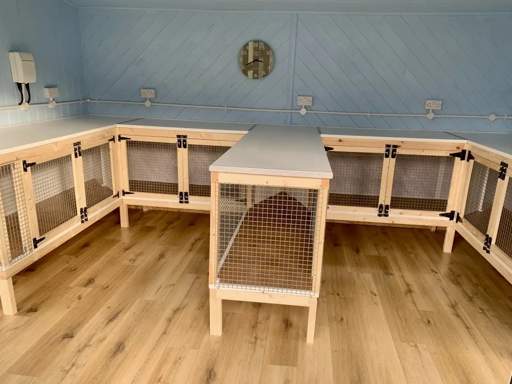 The Summer House Small Pet Boarding - Chesterfield pet otel görseli 2