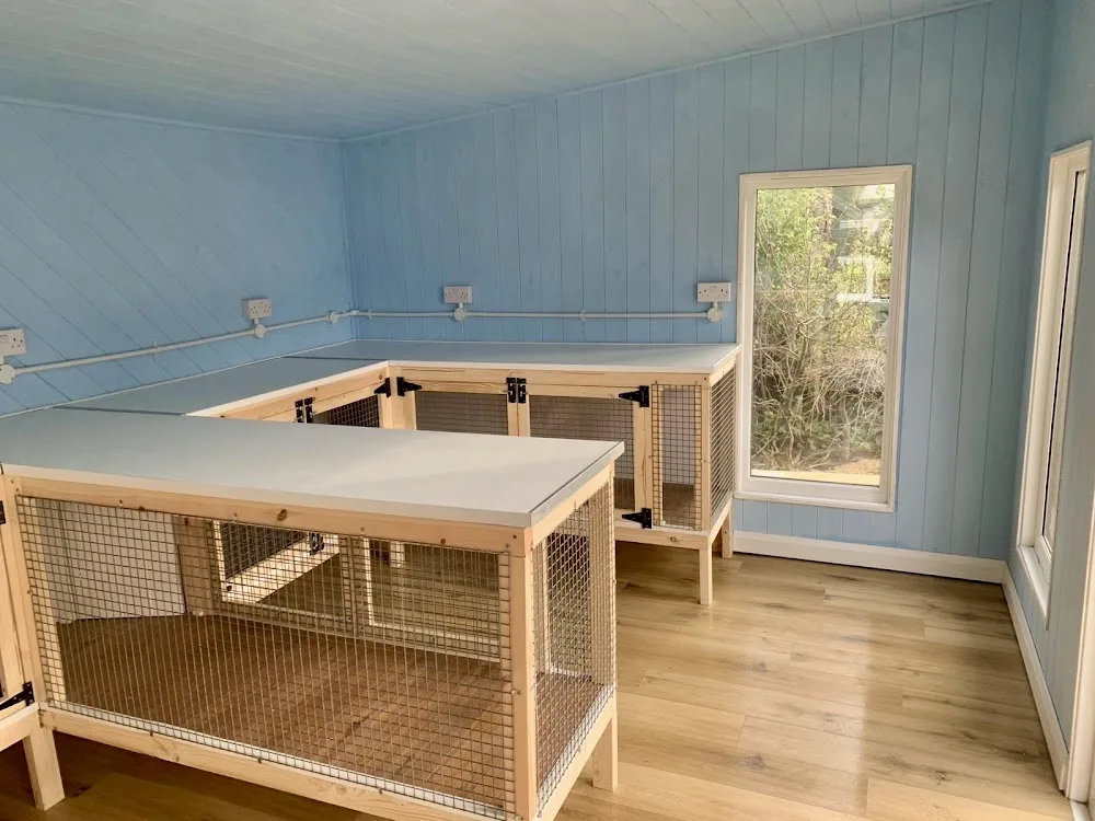 The Summer House Small Pet Boarding - Chesterfield pet otel görseli 3