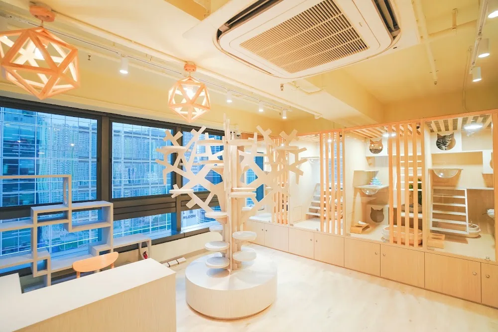 猫季酒店 - China pet otel görseli 6