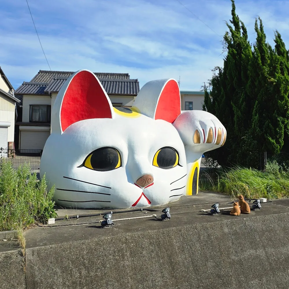 猫季酒店 - China pet otel görseli 8