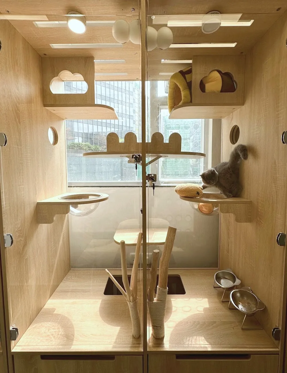Cozy Cat Retreat 貓二家 (Cat hotel/ 貓酒店) - China pet otel
