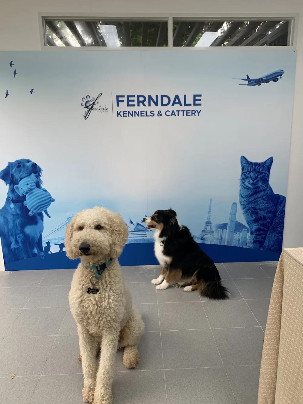 Ferndale Kennels & Cattery - China pet otel