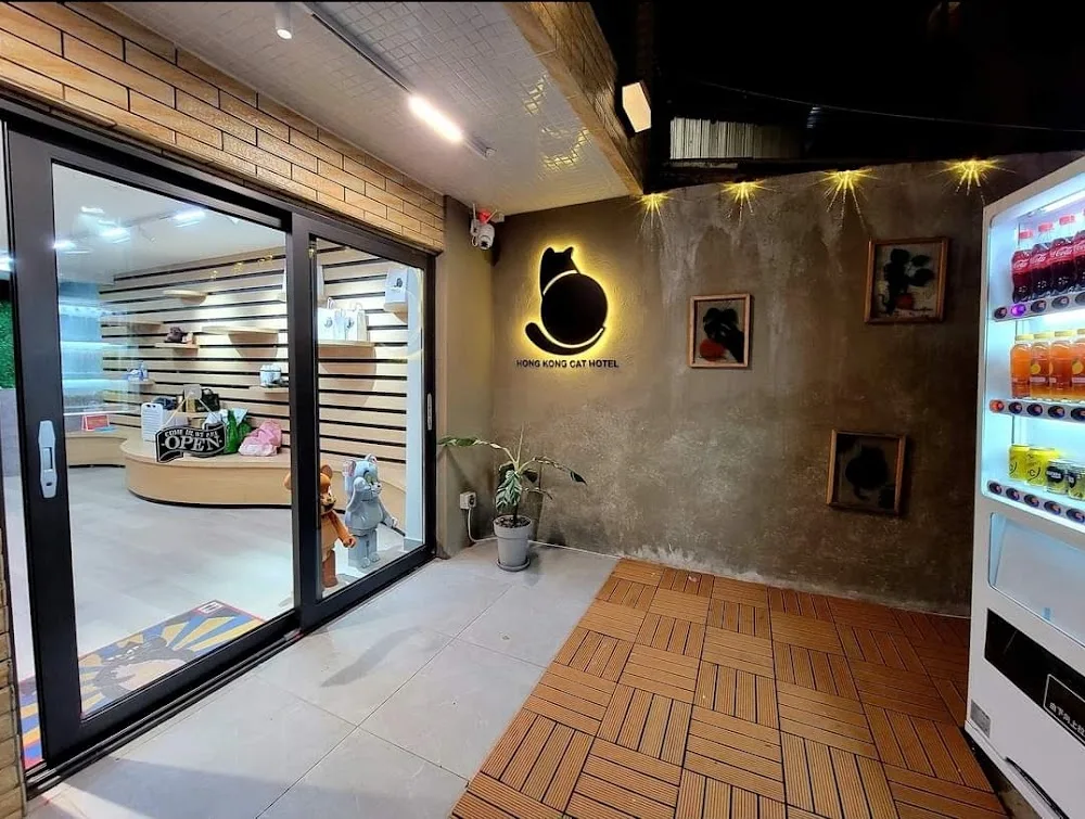 香港貓酒店 Hong Kong Cat Hotel - China pet otel