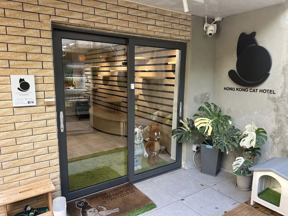 香港貓酒店 Hong Kong Cat Hotel - China pet otel görseli 7