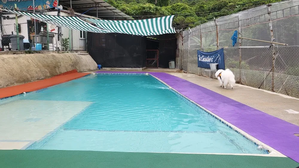 Pet Oasis, Natural Choice Pet Hotel - China pet otel