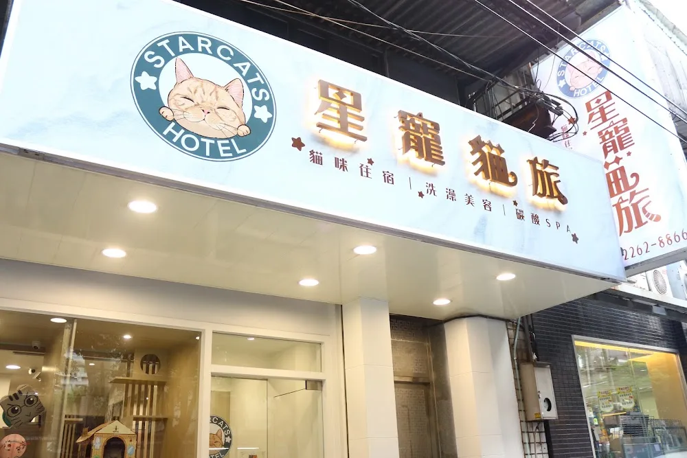 Star Cats Hotel 星寵貓旅 |貓咪住宿|洗澡美容|貓咪美容|碳酸SPA - China pet otel