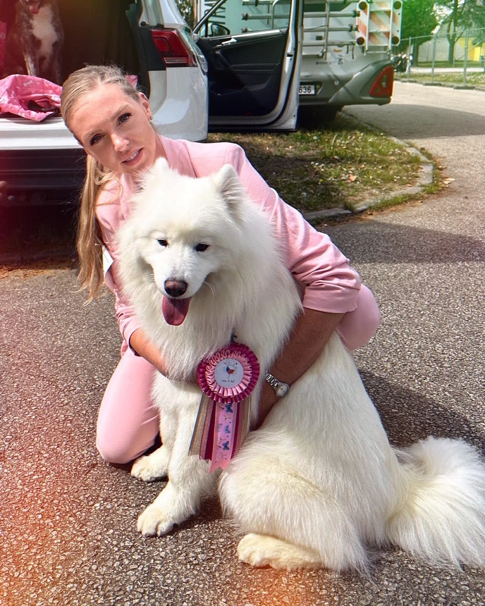 Stříhání psů Kadaň Psí salon Fany - Chomutov pet otel görseli 3