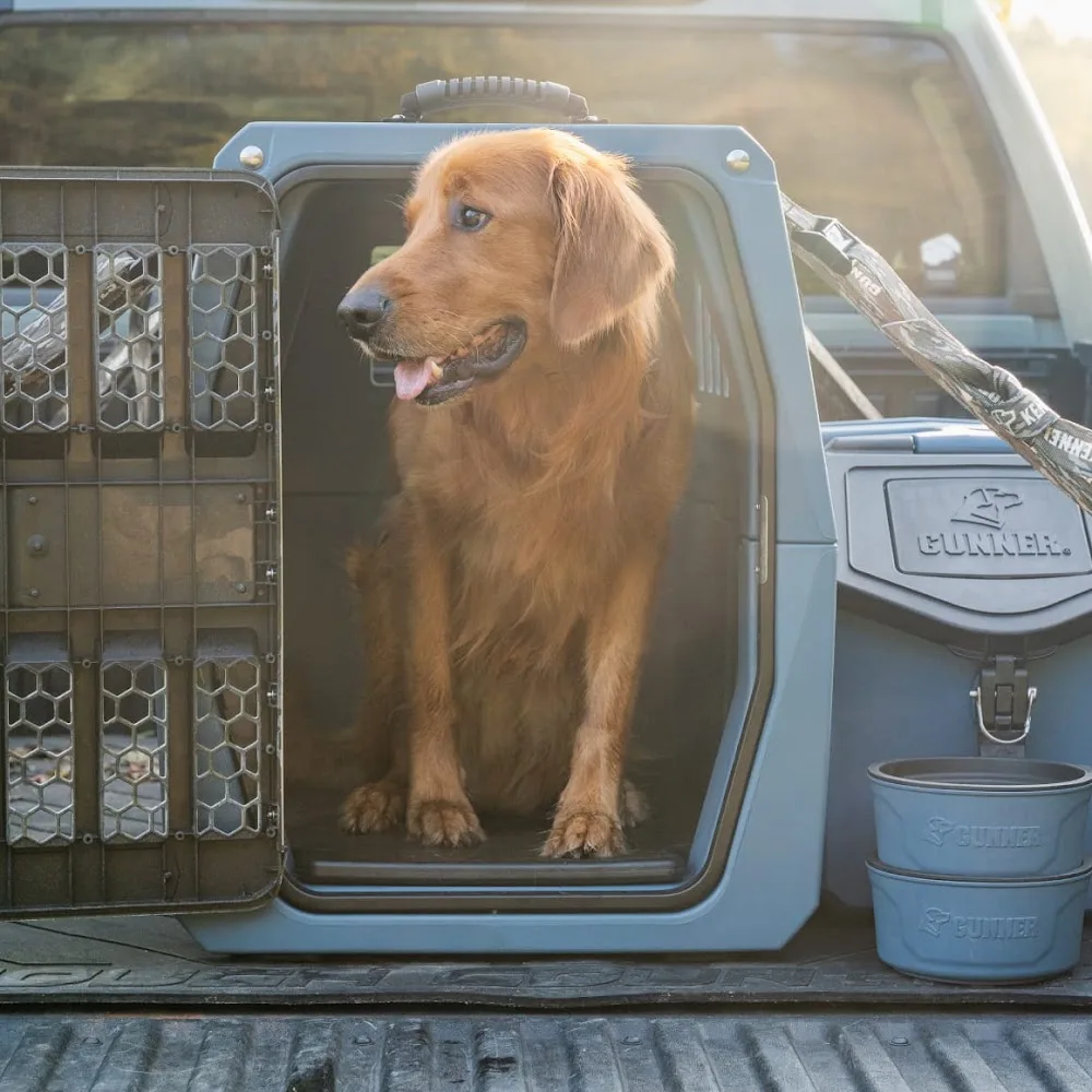 Gunner Kennel - Christchurch pet otel görseli 3