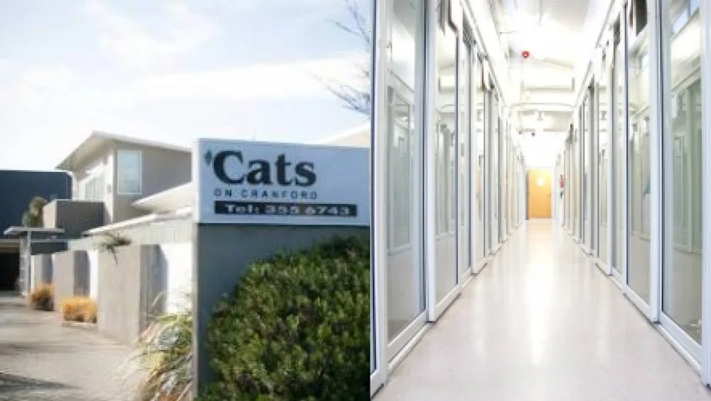 Ourvets Cats on Cranford - Christchurch pet otel