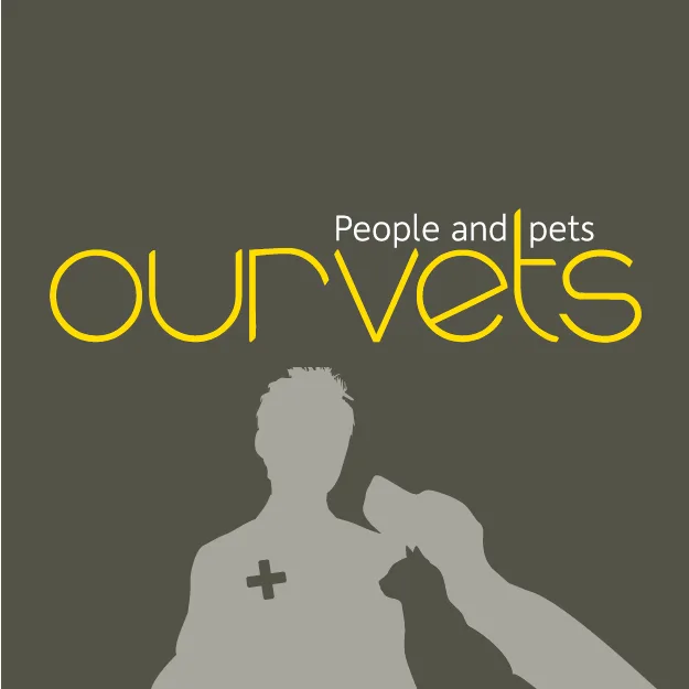 Ourvets Cats on Cranford - Christchurch pet otel görseli 3