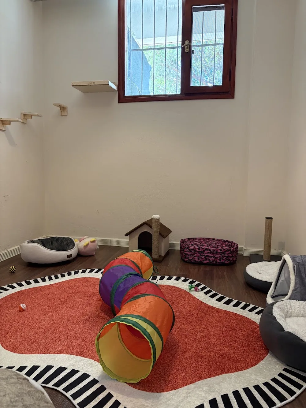 Çilek Kedi Oteli - Istanbul pet otel görseli 3